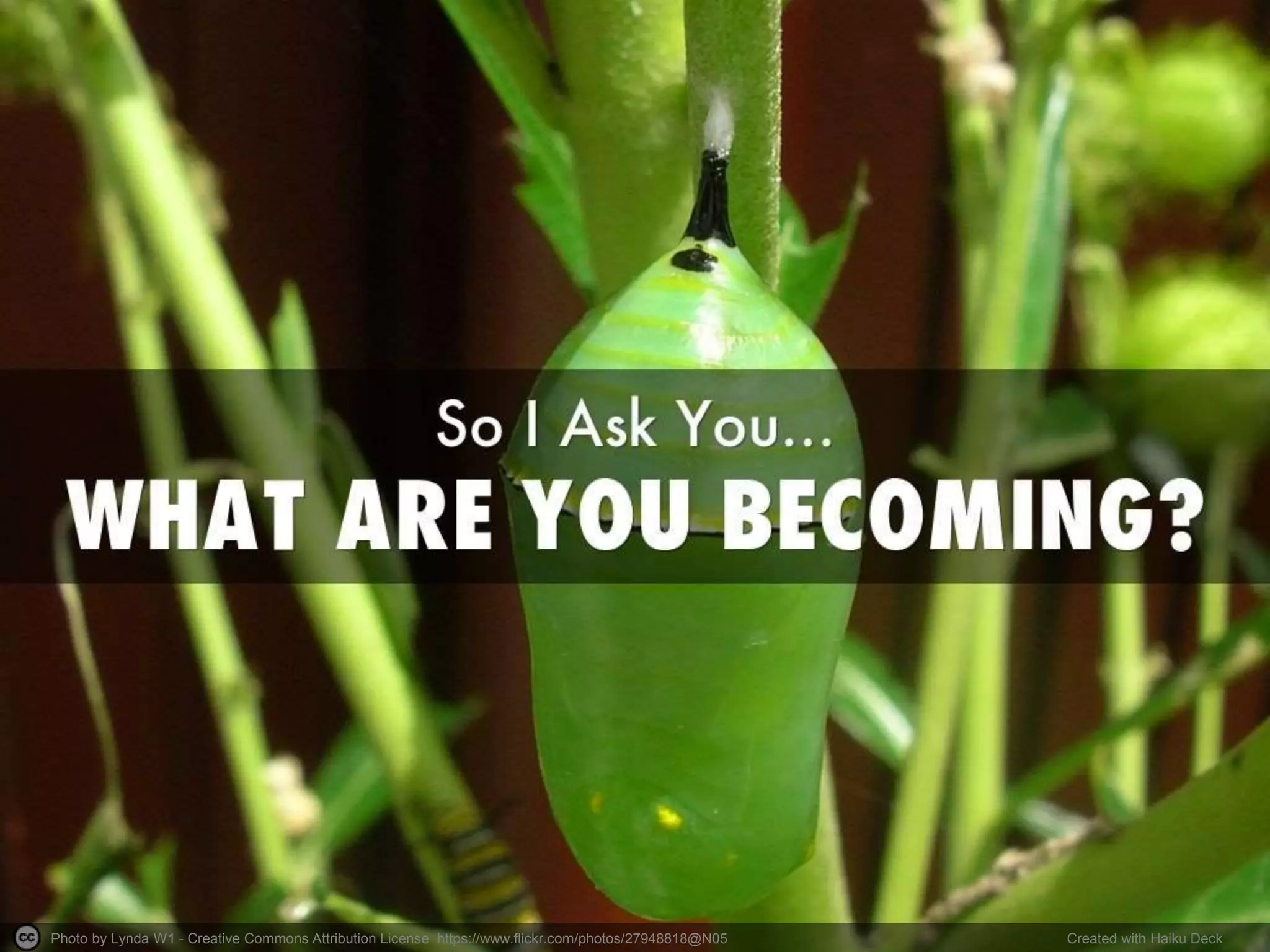 Photo by Lynda W1 - Creative Commons Attribution License https://www.flickr.com/photos/27948818@N05 Created with Haiku Deck
 