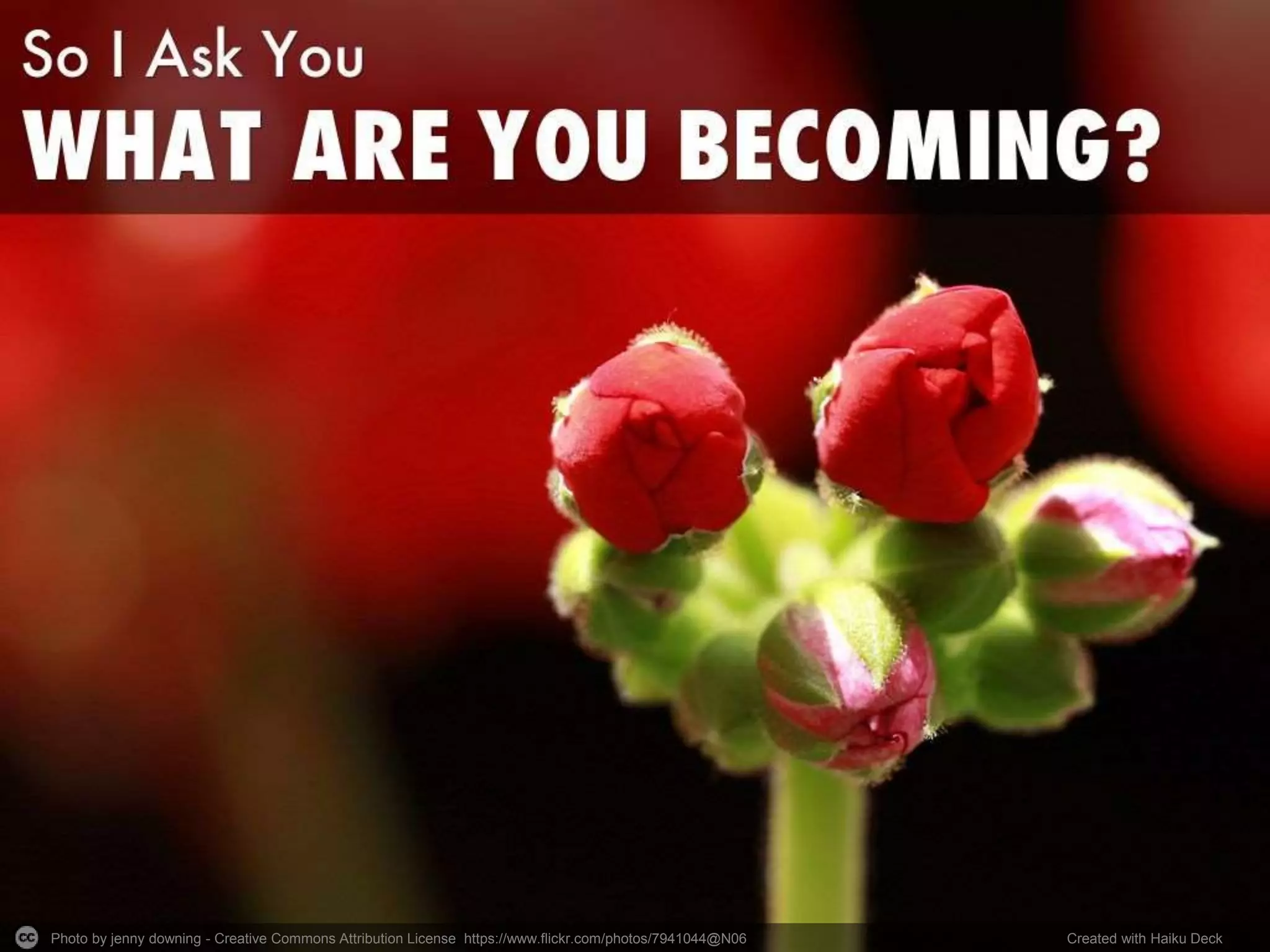 Photo by jenny downing - Creative Commons Attribution License https://www.flickr.com/photos/7941044@N06 Created with Haiku Deck
 