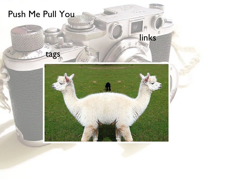 Push Me Pull You links