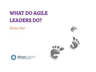 WHAT DO AGILE
LEADERS DO?
Flavius Stef
 