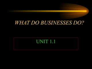 WHAT DO BUSINESSES DO? UNIT 1.1 