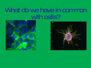 What do we have in common with cells? 