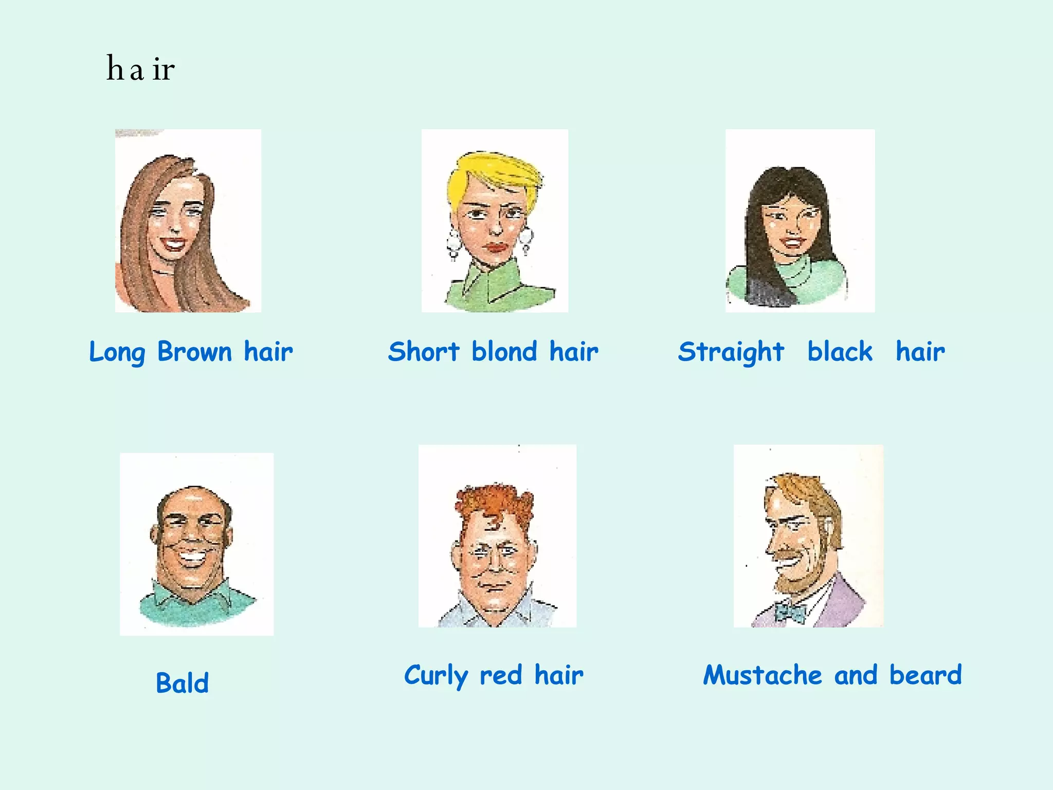 hair Long Brown hair Short blond hair Straight  black  hair Bald Curly red hair Mustache and beard 