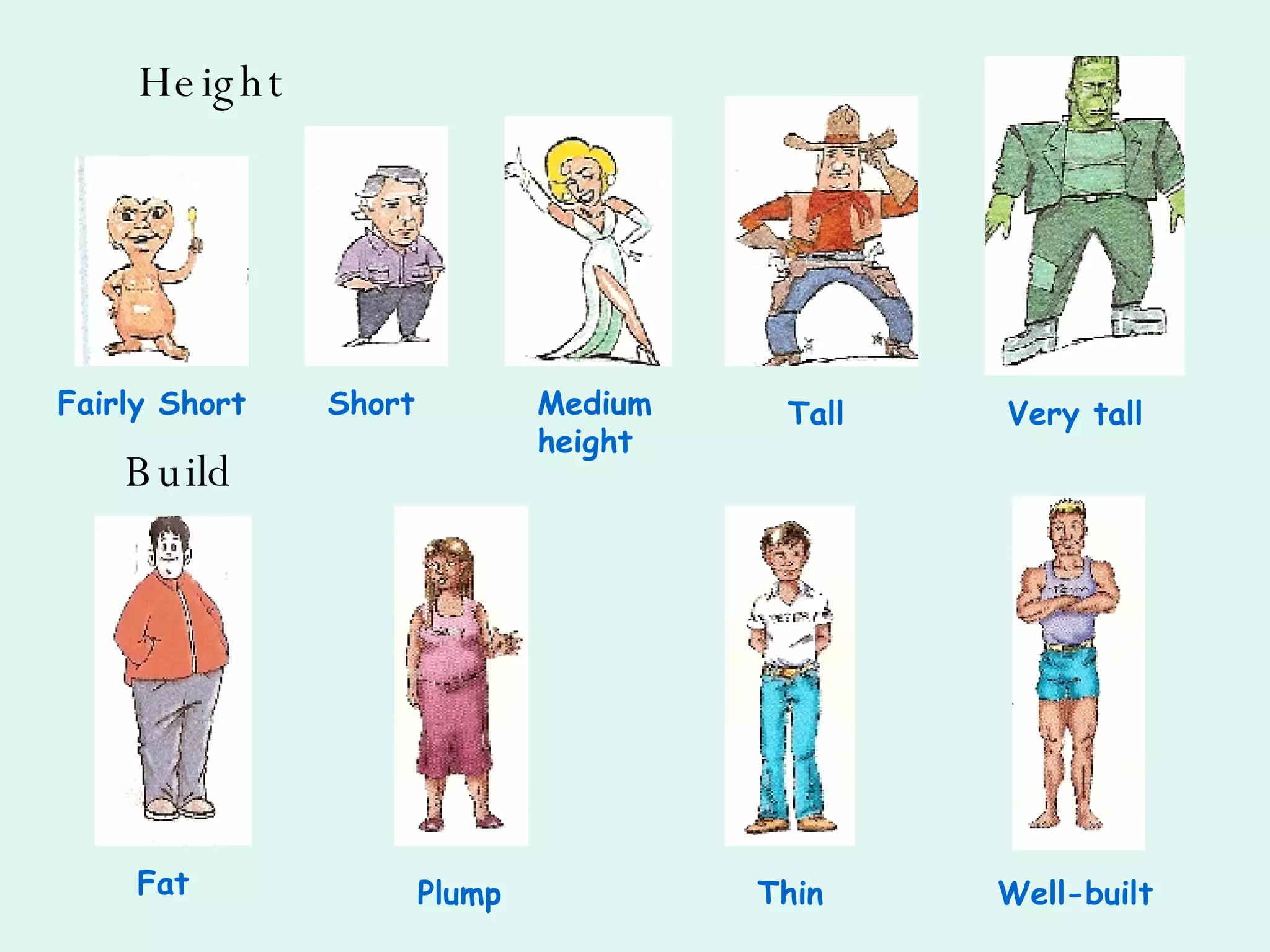Height Short Fairly Short Medium height Tall Very tall Fat Build Plump Thin Well-built 