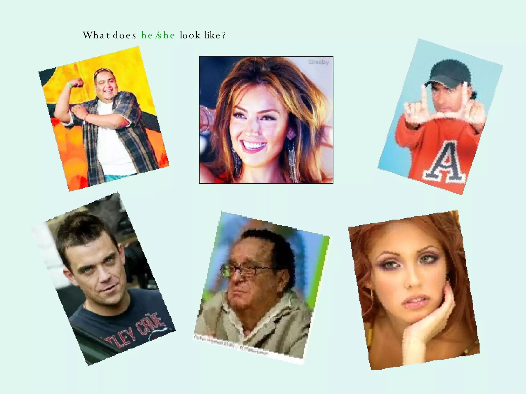 What does  he/she  look like? 