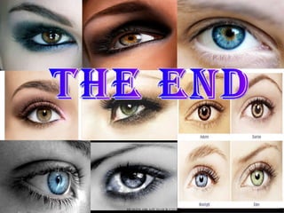 THE END 