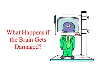 What Happens if the Brain Gets Damaged? 