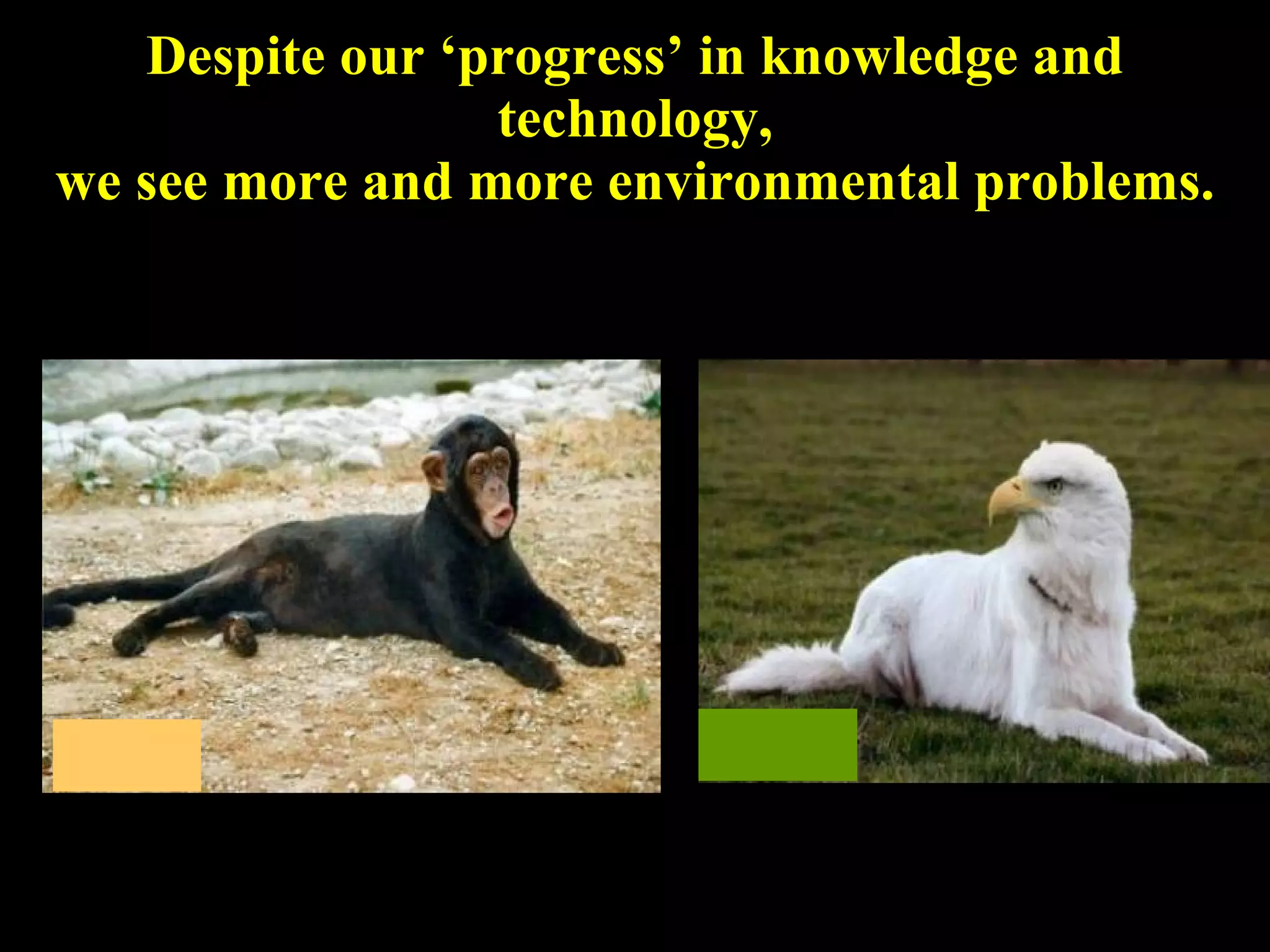 Despite our ‘progress’ in knowledge and technology, we see more and more environmental problems. 