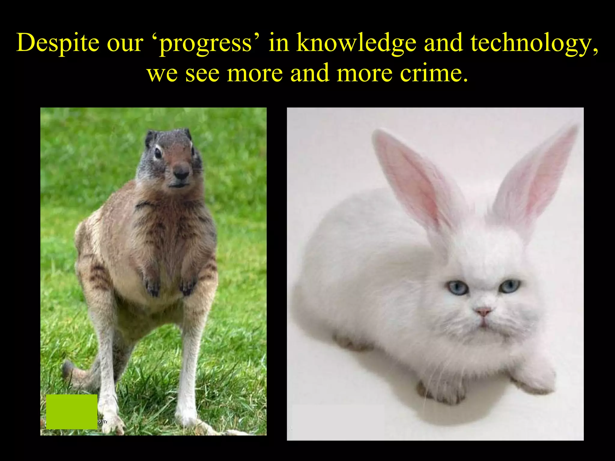 Despite our ‘progress’ in knowledge and technology, we see more and more crime. 
