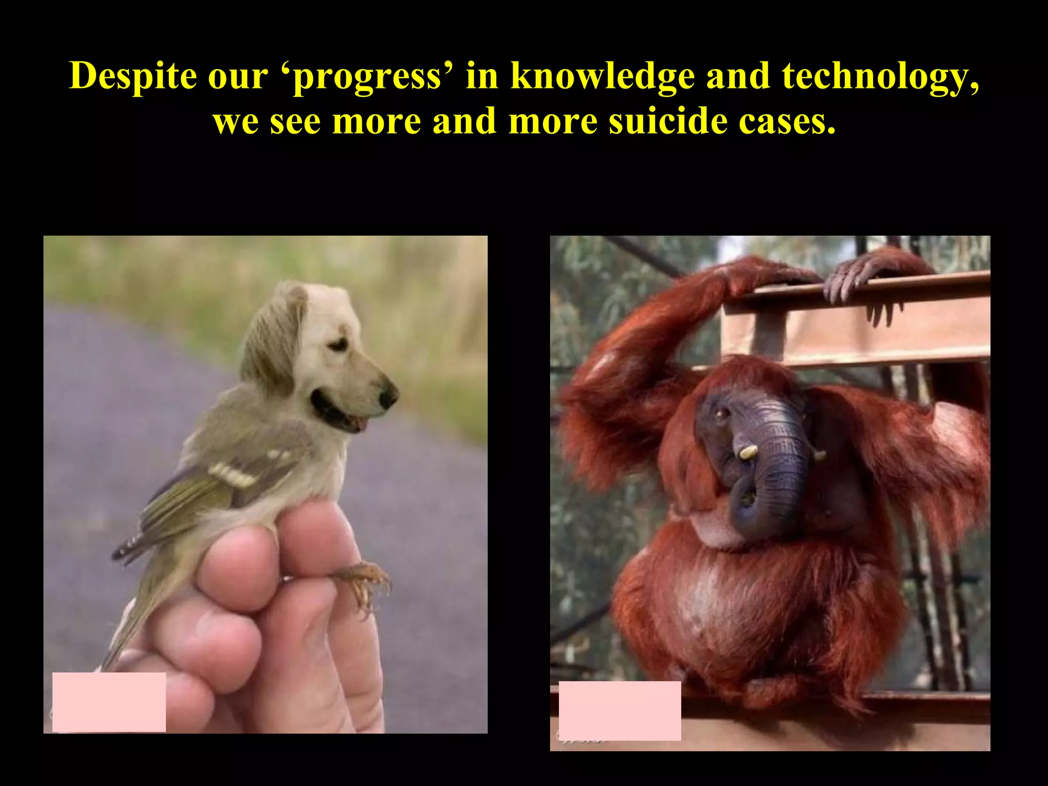 Despite our ‘progress’ in knowledge and technology, we see more and more suicide cases. 