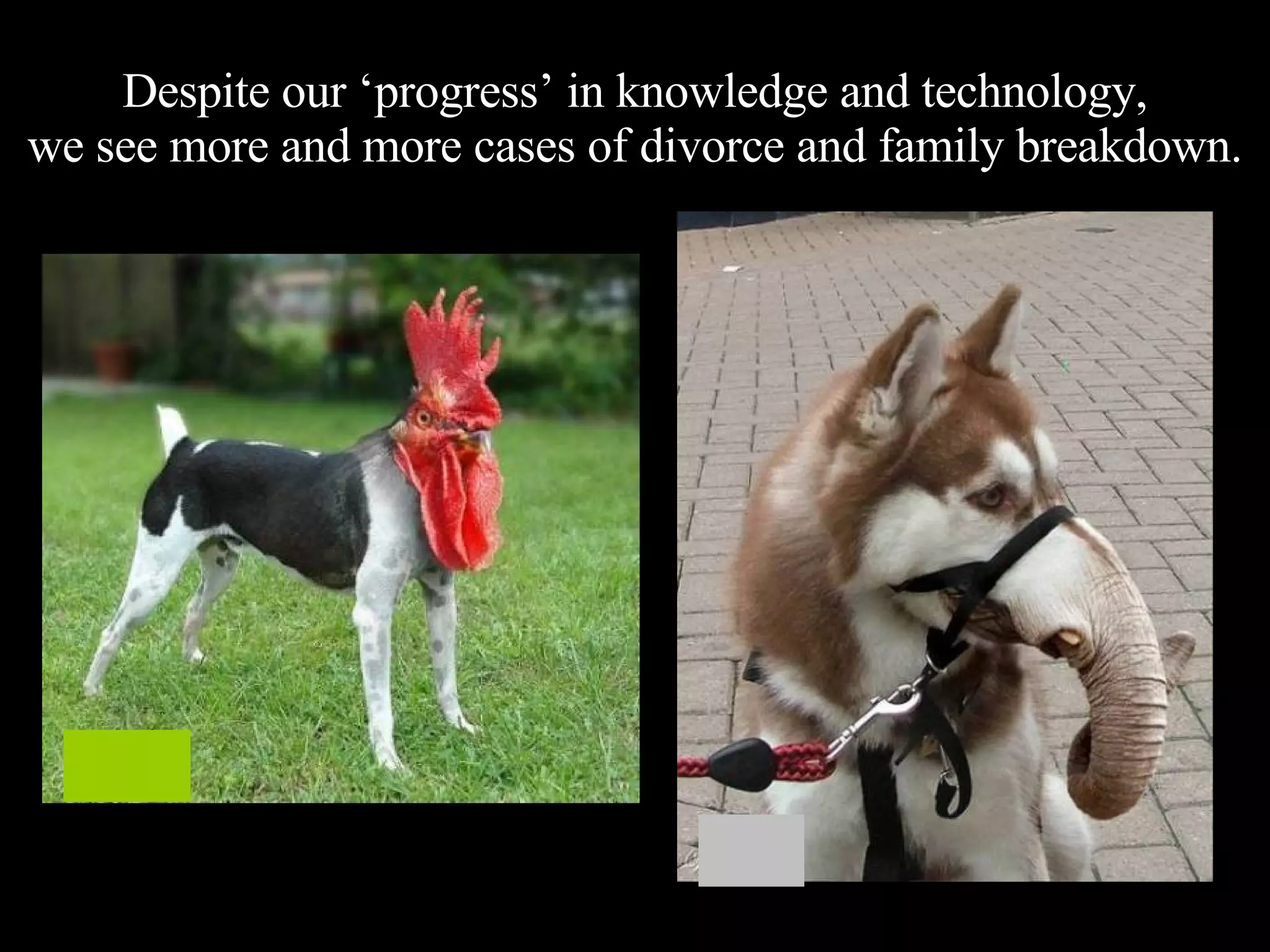Despite our ‘progress’ in knowledge and technology, we see more and more cases of divorce and family breakdown. 