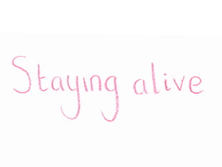 What I Did Holidays