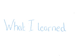 What I Did Holidays