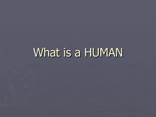 What is a HUMAN 