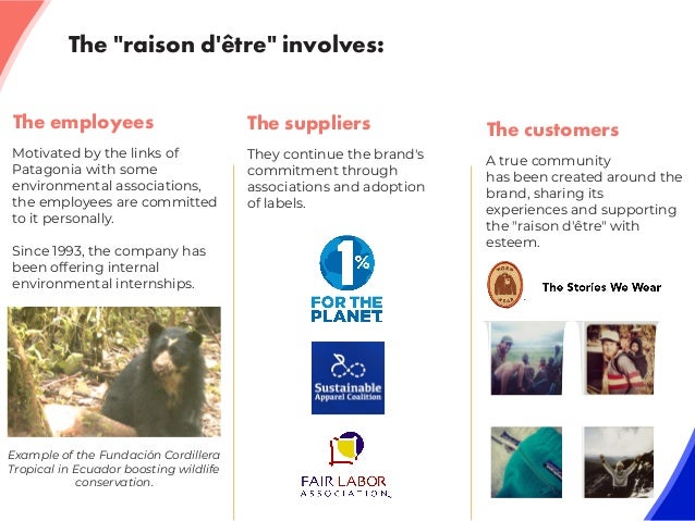 How Your Company S Raison D Etre Can Lead You To A Regenerative Eco