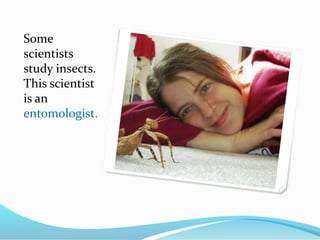 Some
scientists
study insects.
This scientist
is an
entomologist.
 