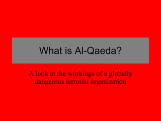 What is Al-Qaeda? A look at the workings of a globally dangerous terrorist organization 