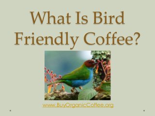 What Is Bird
Friendly Coffee?
By
www.BuyOrganicCoffee.org
 