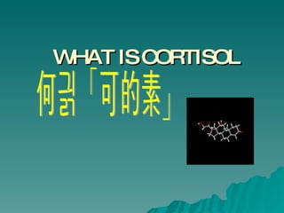 WHAT IS CORTISOL 何為「可的素」 