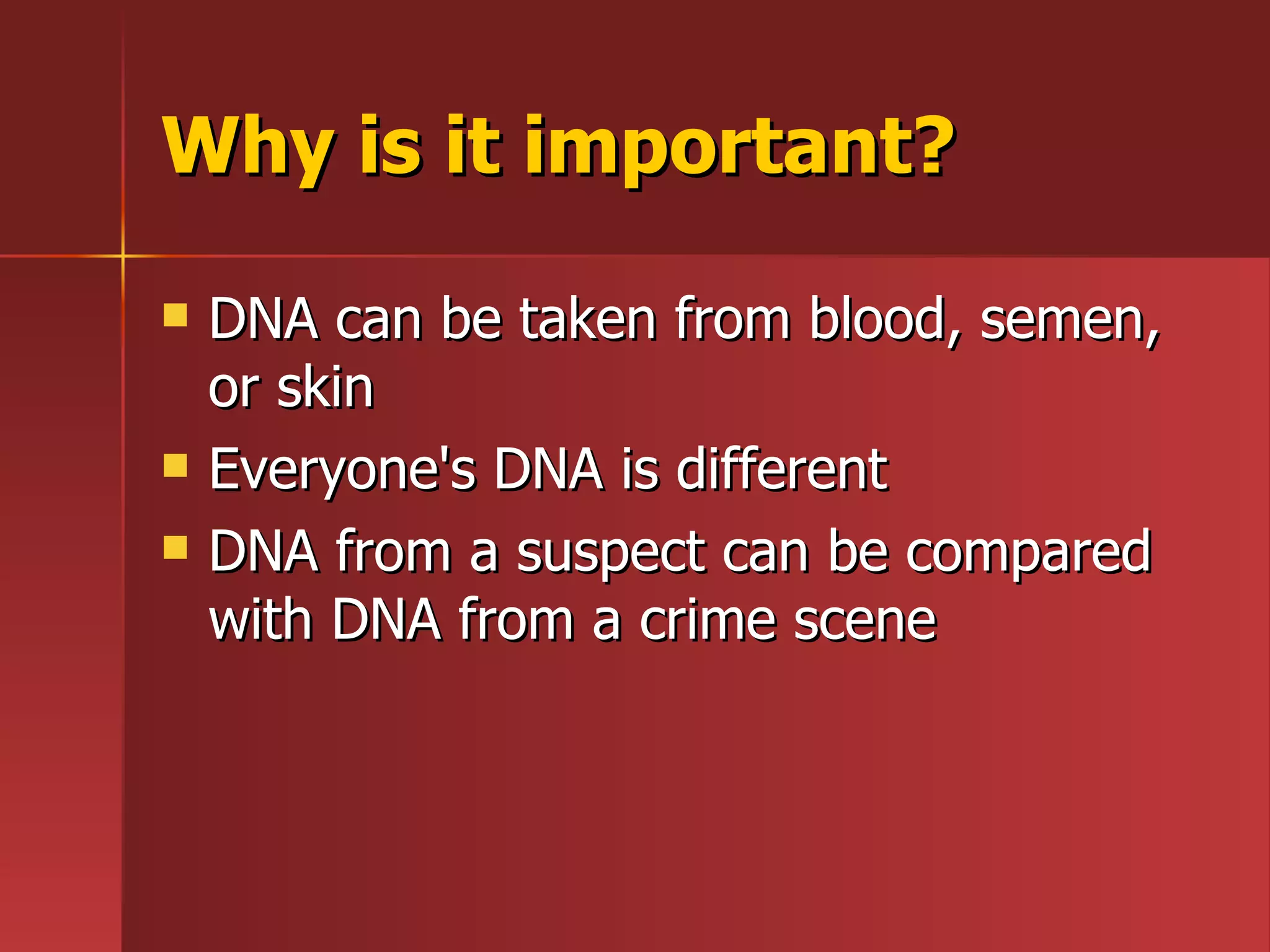 What Is Dna | PPT