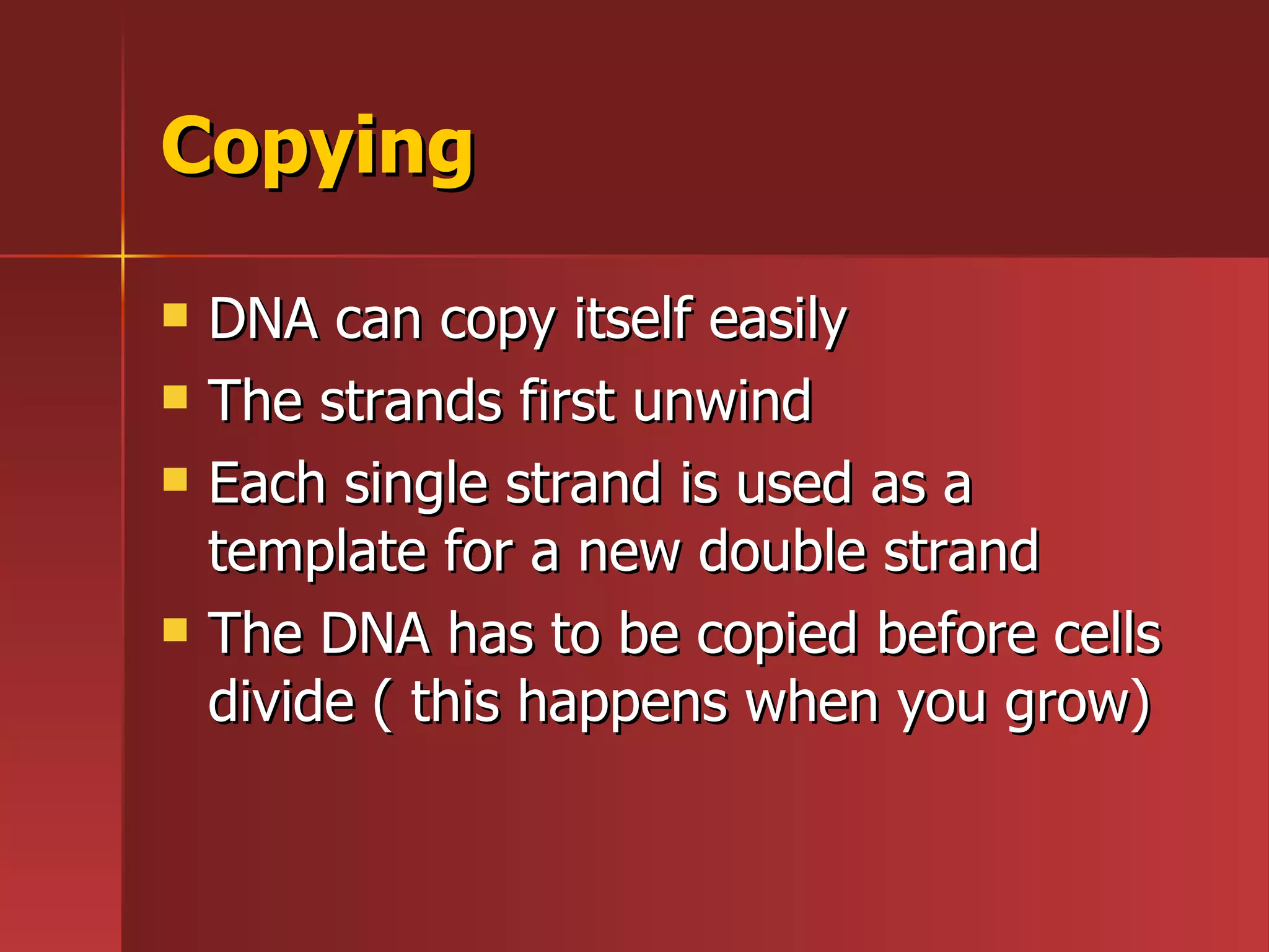 What Is Dna | PPT