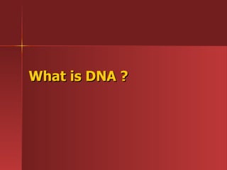 What is DNA ? 