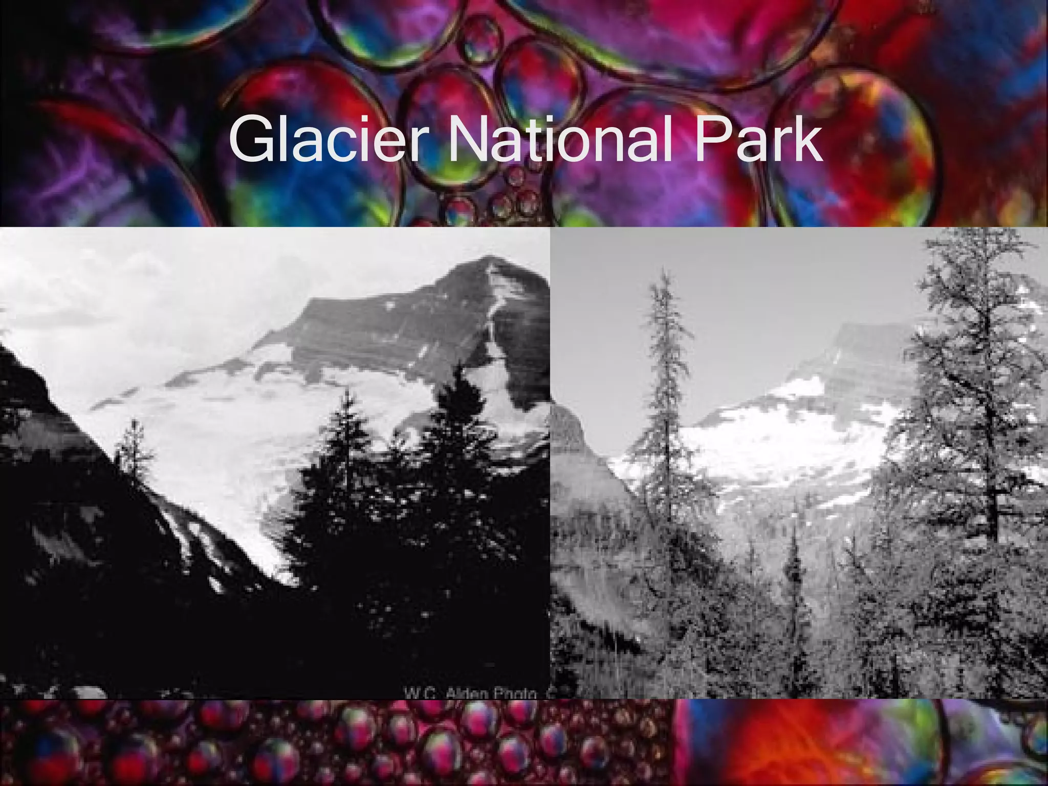 Glacier National Park 