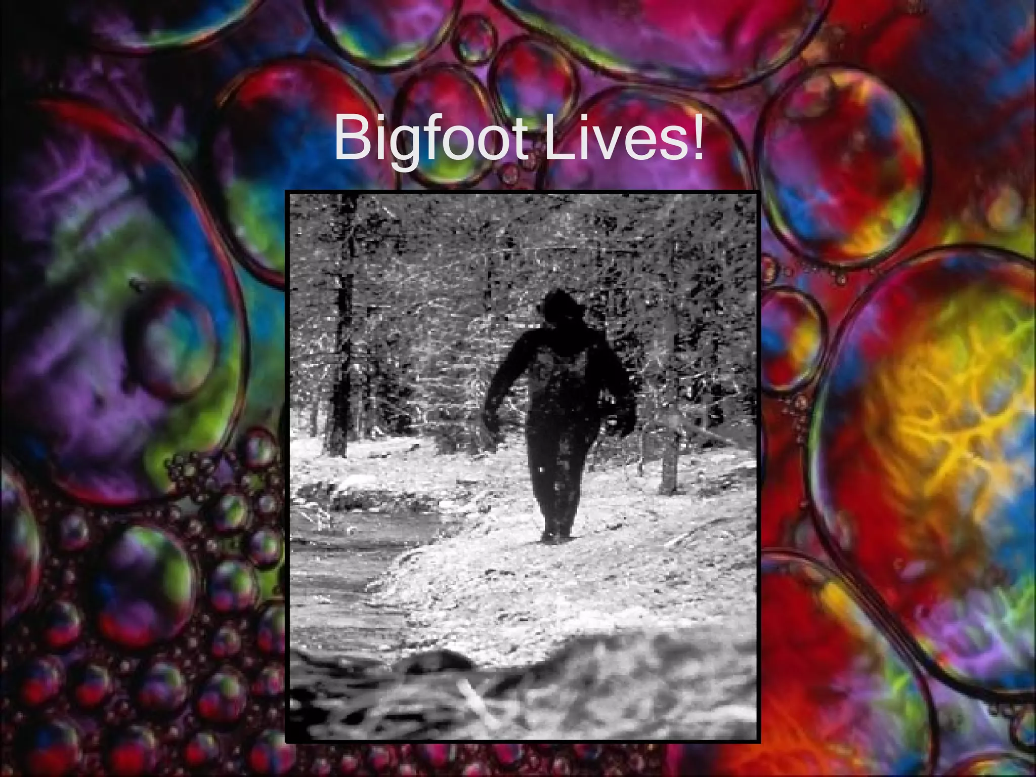 Bigfoot Lives! 