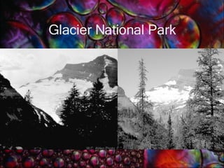 Glacier National Park 