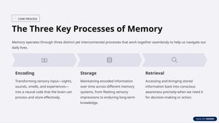 Sensory Store Encoding Understanding Memory: How Our Minds Encode, Store, and Recall ...