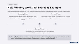 Understanding Memory: How Our Minds Encode, Store, and Recall ...