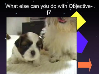 What else can you do with Objective-j? 