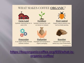 Criteria for Organic Coffee Certification
 