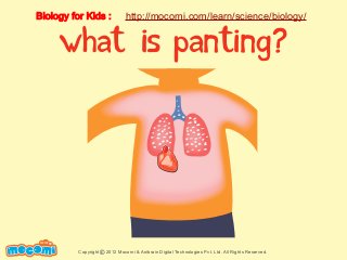 Biology for Kids :

http://mocomi.com/learn/science/biology/

what is panting?

F UN FOR ME!

Copyright © 2012 Mocomi & Anibrain Digital Technologies Pvt. Ltd. All Rights Reserved.

 