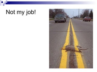 Not my job! 