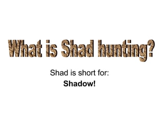 Shad is short for: Shadow! What is Shad hunting? 