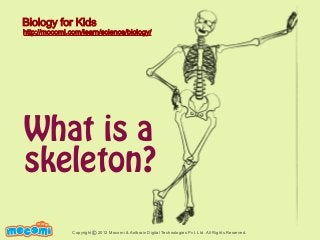 Biology for Kids

http://mocomi.com/learn/science/biology/

What is a
skeleton?
F UN FOR ME!

Copyright © 2012 Mocomi & Anibrain Digital Technologies Pvt. Ltd. All Rights Reserved.

 