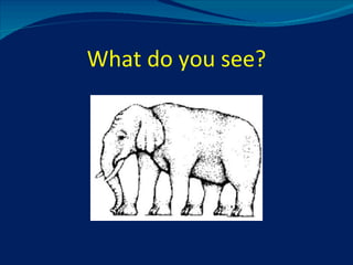 What do you see? 