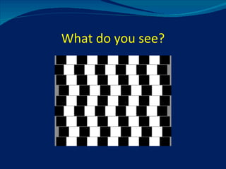 What do you see? 