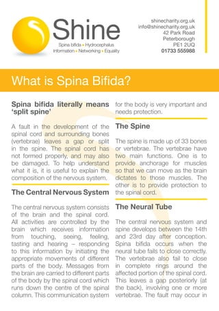 shinecharity.org.uk
                                                    info@shinecharity.org.uk
                                                              42 Park Road
                                                              Peterborough
                                                                  PE1 2UQ
                                                             01733 555988




What is Spina Bifida?
Spina bifida literally means for the body is very important and
‘split spine’                needs protection.

A fault in the development of the          The Spine
spinal cord and surrounding bones
(vertebrae) leaves a gap or split          The spine is made up of 33 bones
in the spine. The spinal cord has          or vertebrae. The vertebrae have
not formed properly, and may also          two main functions. One is to
be damaged. To help understand             provide anchorage for muscles
what it is, it is useful to explain the    so that we can move as the brain
composition of the nervous system.         dictates to those muscles. The
                                           other is to provide protection to
The Central Nervous System                 the spinal cord.

The central nervous system consists        The Neural Tube
of the brain and the spinal cord.
All activities are controlled by the       The central nervous system and
brain which receives information           spine develops between the 14th
from touching, seeing, feeling,            and 23rd day after conception.
tasting and hearing – responding           Spina bifida occurs when the
to this information by initiating the      neural tube fails to close correctly.
appropriate movements of different         The vertebrae also fail to close
parts of the body. Messages from           in complete rings around the
the brain are carried to different parts   affected portion of the spinal cord.
of the body by the spinal cord which       This leaves a gap posteriorly (at
runs down the centre of the spinal         the back), involving one or more
column. This communication system          vertebrae. The fault may occur in
 