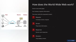 How does the World Wide Web work?
Servers store web pages.
Your browser requests information.
The server sends the requested content.
1 Requests
A browser sends a request.
2 Servers
They store information.
3 Responses
Servers send responses.
4 Browsers
They display content.
 