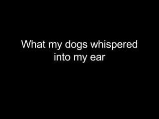 What my dogs whispered into my ear 