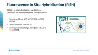 © Health Catalyst. Confidential and Proprietary.
Fluorescence In Situ Hybridization (FISH)
88366 – In situ hybridization (eg, FISH), per
specimen; each multiplex probe stain procedure
 Reassigned from APC 5673 (2023) to 5672
(2024)
 Status indicator remains Q1
 Reimbursement change from $324 (2023) to
$163 (2024)
 