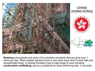 Bamboos  are grasses and some of its members are giants that can grow over 1 metre per day.   When treated, bamboo forms a very hard wood which is both light and exceptionally tough. In tropical climates it has a huge range of uses including  construction scaffolding , and as a substitute for steel reinforcing rods  in concrete. CHINA (HONG KONG) 