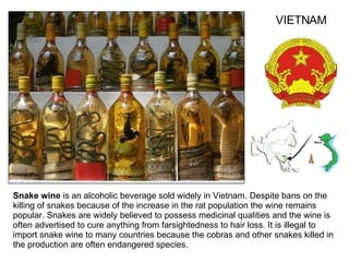 Snake wine  is an alcoholic beverage sold widely in Vietnam. Despite bans on the killing of snakes because of the increase in the rat population the wine remains popular. Snakes are widely believed to possess medicinal qualities and the wine is often advertised to cure anything from farsightedness to hair loss.   It is illegal to import snake wine to many countries because the cobras and other snakes killed in the production are often endangered species.   VIETNAM 