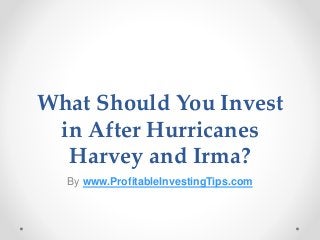 What Should You Invest
in After Hurricanes
Harvey and Irma?
By www.ProfitableInvestingTips.com
 
