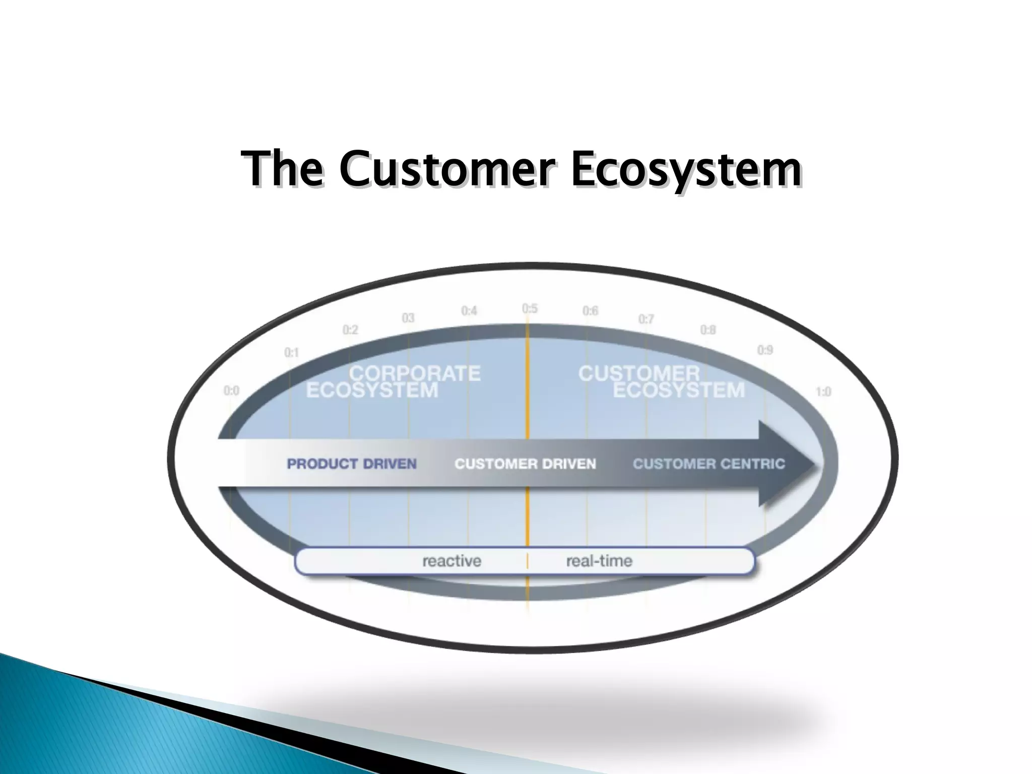 The Customer Ecosystem 