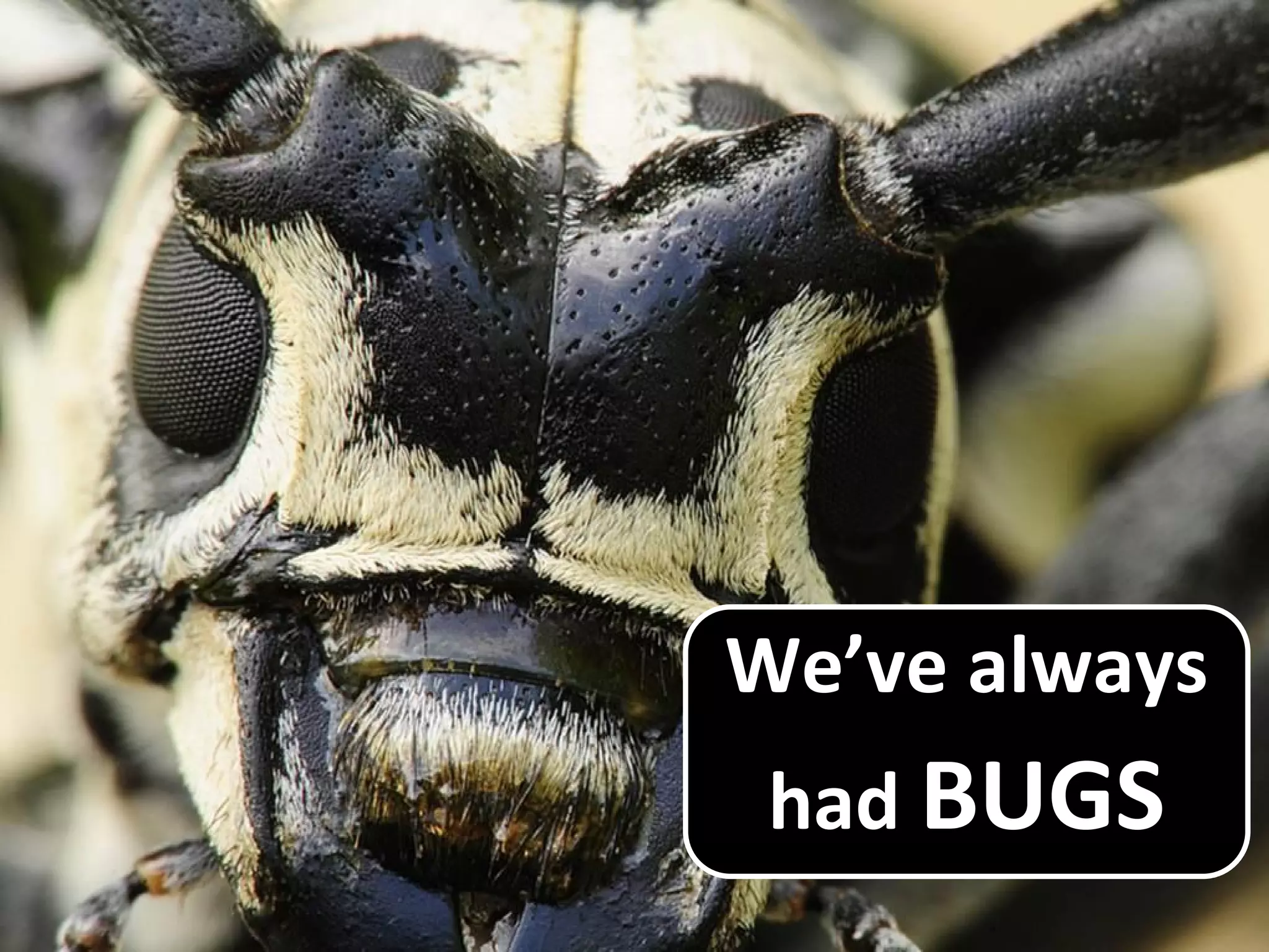 We’ve always
had BUGS
 