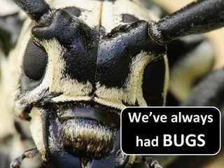 We’ve always
had BUGS
 