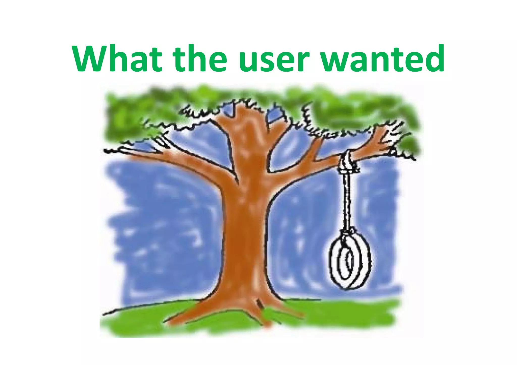 What The User Wanted